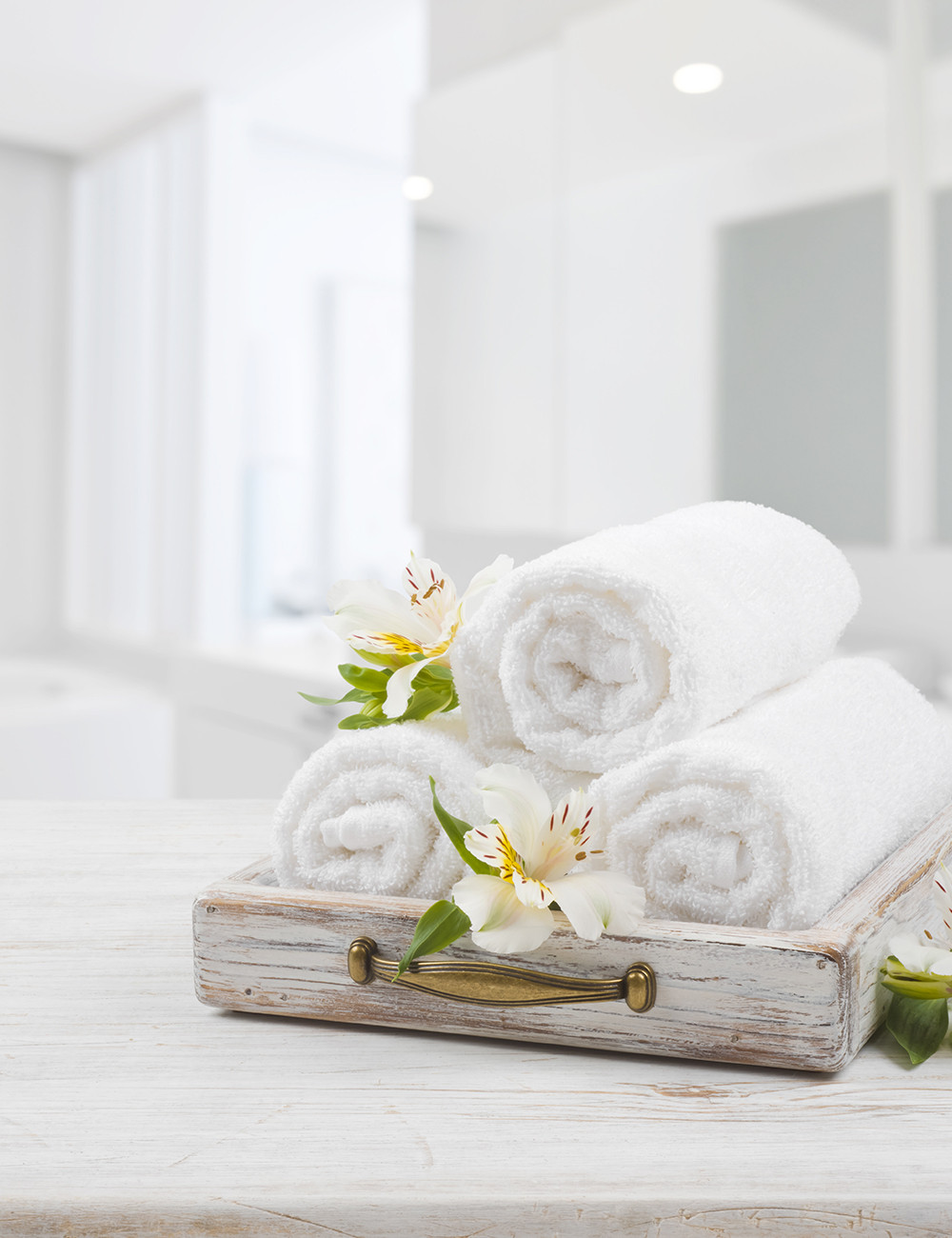 rutina Noreste Especializarse toallas para hotel